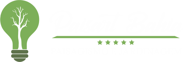 Paisart Bahia